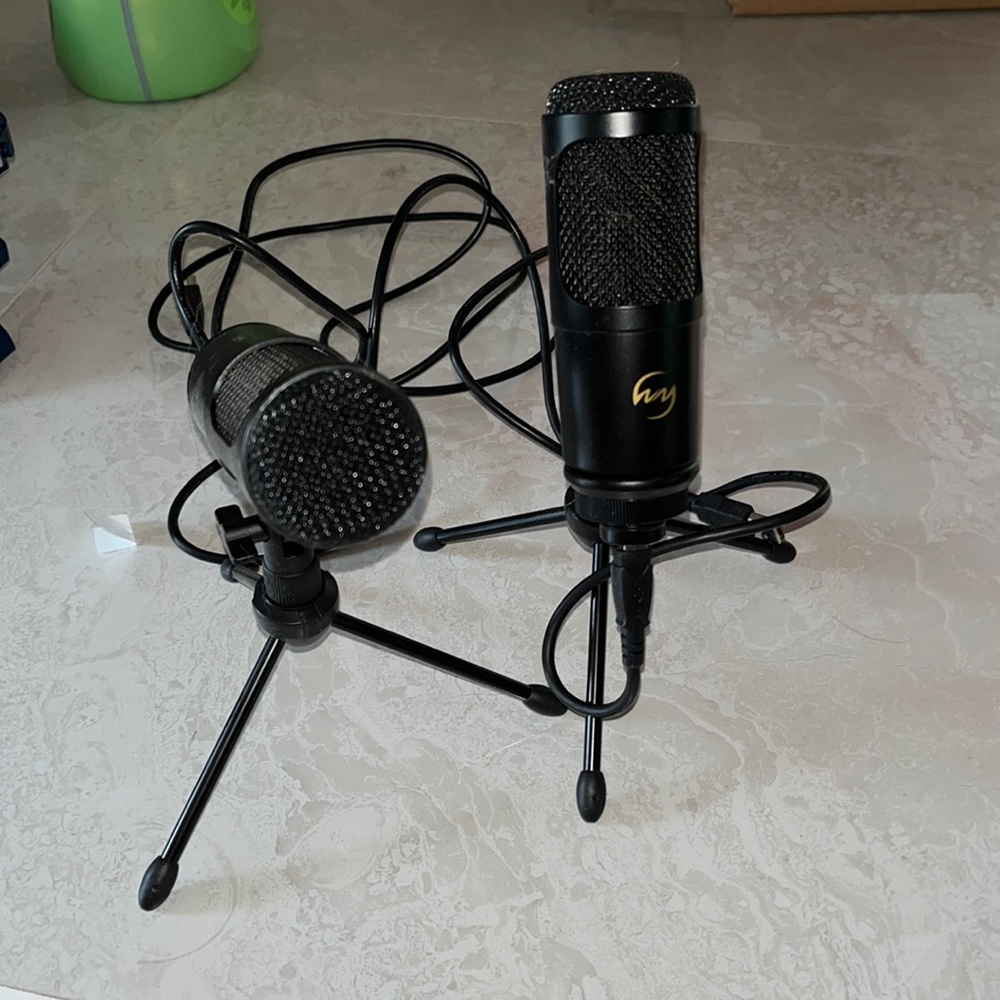 Two USB microphones